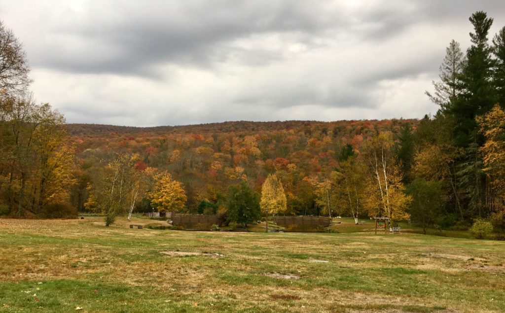 Colorful trees at Camp Workroom Social in October 2016