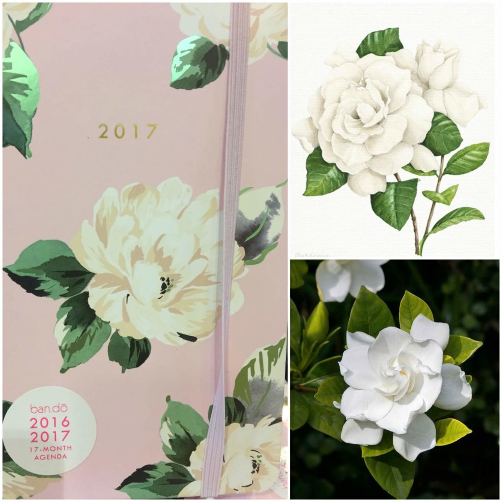 Three gardenia images that could be used in Cameron's custom wedding dress by Brooks Ann Camper Bridal Couture